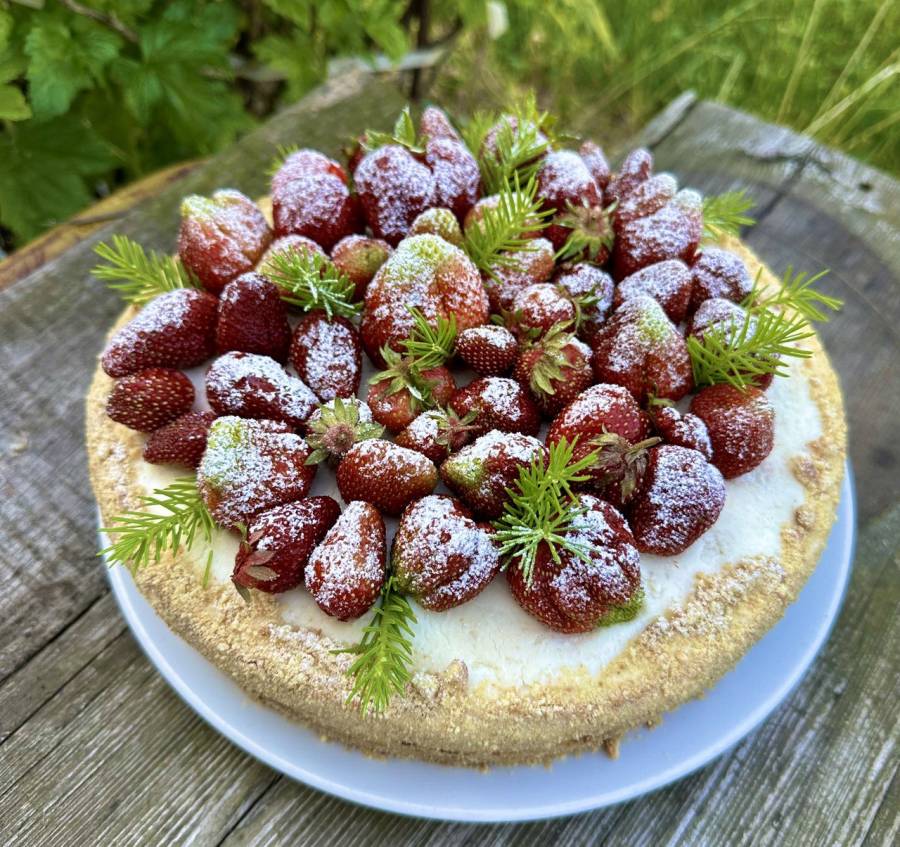 CHUŤ LETNÍHO RÁJE